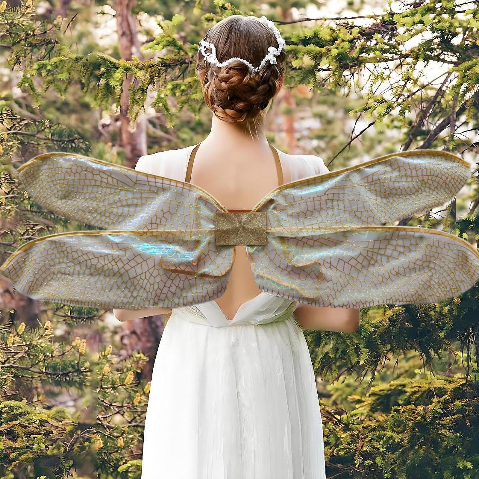 Fairy Dragonfly Wings voor kin - Women Accessories Photos recensie en prijs