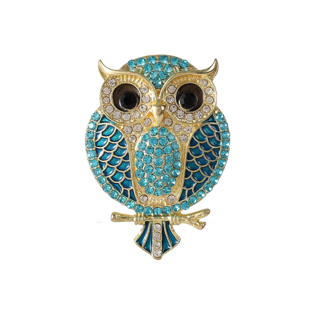 Uil Broches voor Vrouwen Vogel - Women'S Accessories Categories recensie en prijs